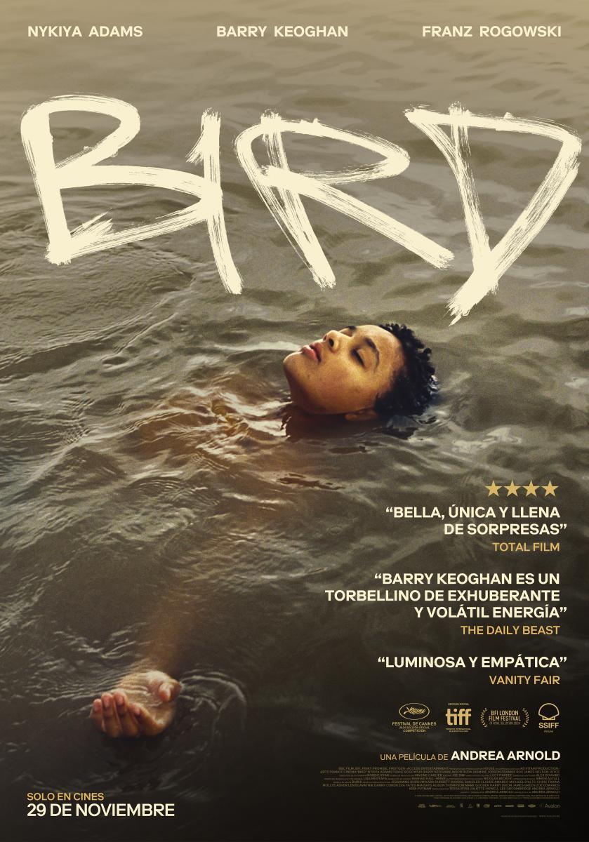 Bird filmaren kartela