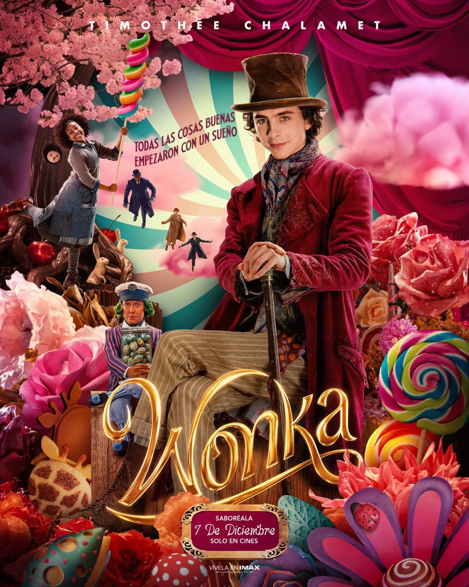 Cartel de la película