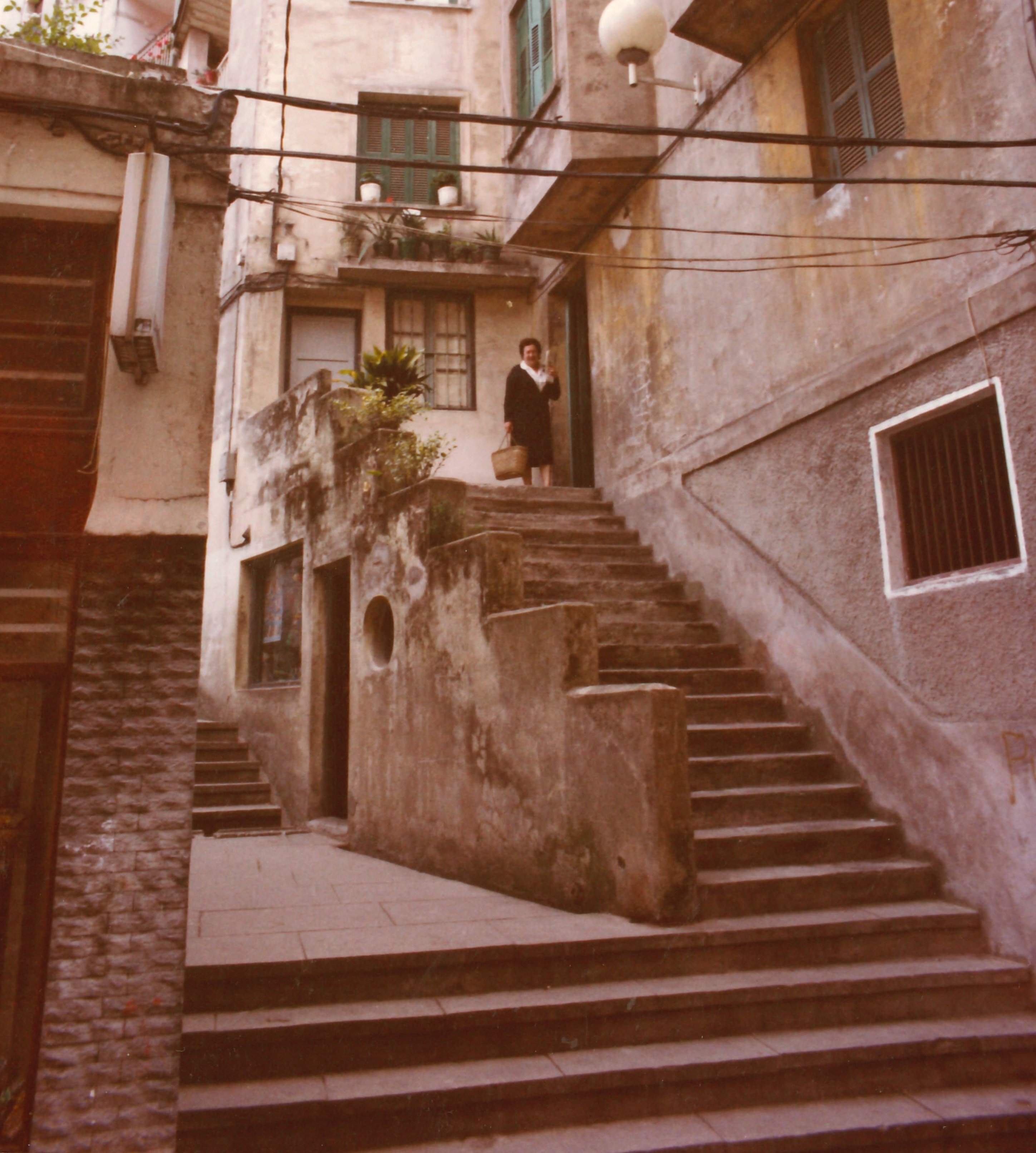 Elexoste (en la calle Erdikokale, antigua Artecalle). Elexoste (Erdikokale kalean, antzinako Artekale). Elexoste (en la calle Erdikokale, antigua Artecalle). Elexoste (Erdikokale kalean, antzinako Artekale).