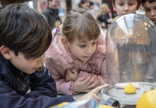 Día Internacional de la Mujer y la Niña en la Ciencia Día Internacional de la Mujer y la Niña en la Ciencia